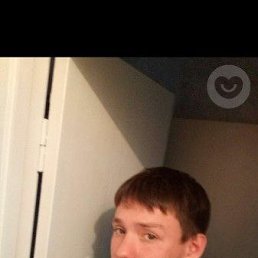 , 29, 