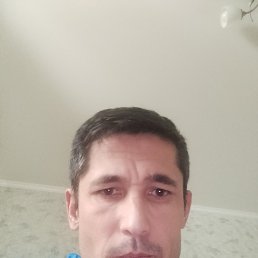 �����, 41 ���, ������������