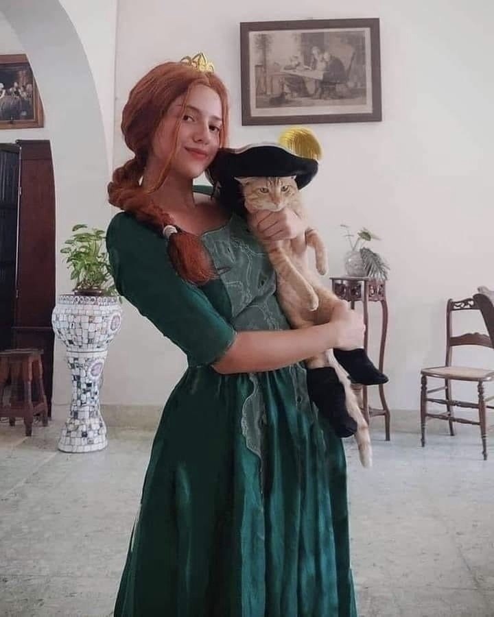 - ,     .       