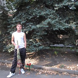 ����, ���������