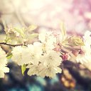 ���� Evilina, ������ - ��������� 18 ������ 2025 � ������ ������ ��������