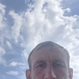 , 51, 