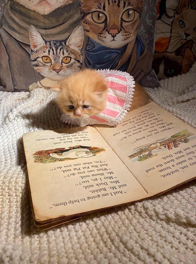 ������ �� ���� � ������� - 2