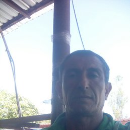, 46, 