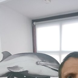 �������, ������, 42 ����