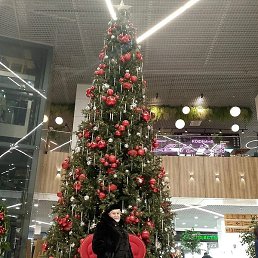 ������, ��������, 64 ����