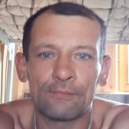 ������, �����-���������, 48 ���