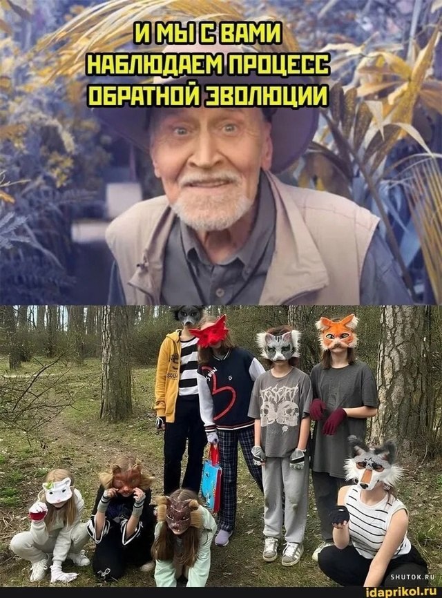     ,   ,      ,  .