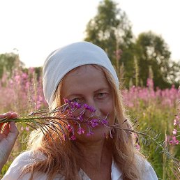 �����, ������, 63 ����