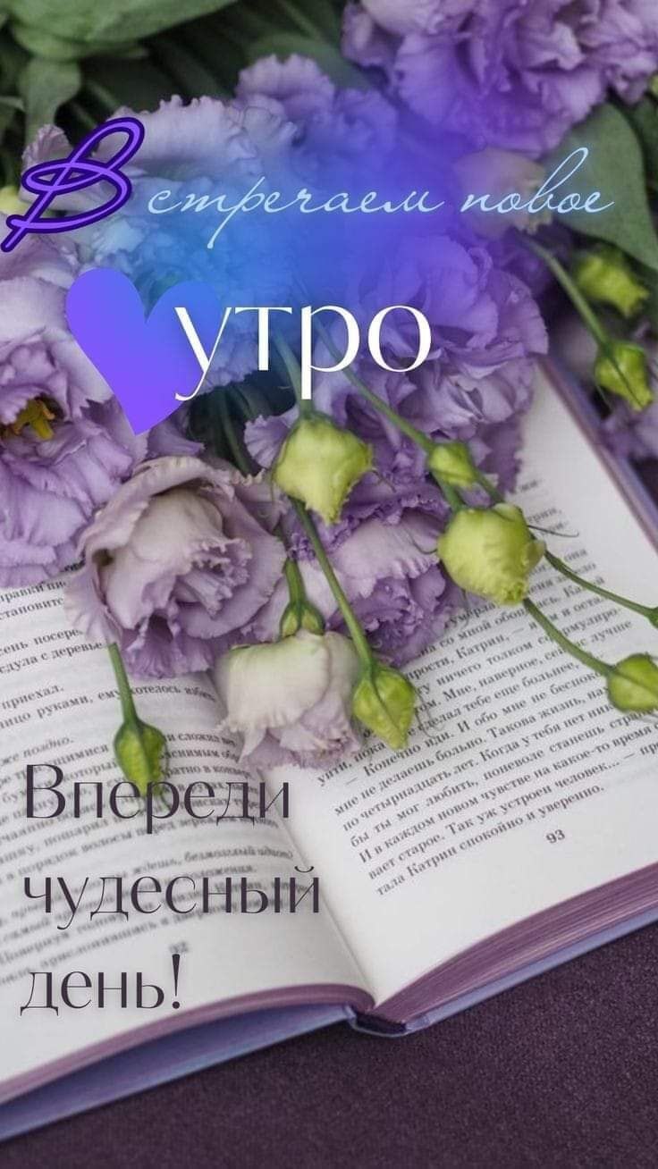 ***Victoria Viktorovna*** - 29  2024  04:21