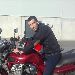 , 41, 