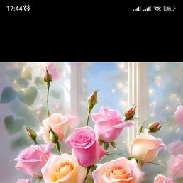 �����, ����, 43 ����