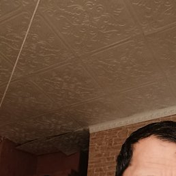 ��������, ������, 42 ����