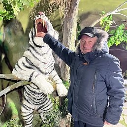 ����, 66 ���, ����-���������