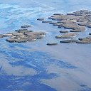  ,  , 50  -  26  2025    