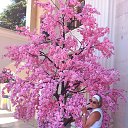 ���� ������, ������������, 46 ��� - ��������� 24 ������� 2025 � ������ ���� ����������