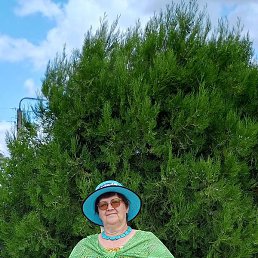 ������, ������������, 65 ���