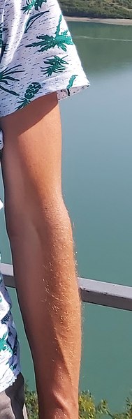 Фото Иван, Москва, 47 лет Иван, Москва, 47 лет