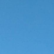 �����, 46 ���, ������