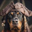 ���� ���, ������, 53 ���� - ��������� 9 ����� 2025 � ������ �������� �������