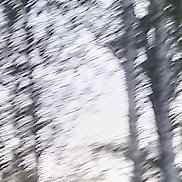 ��������, 38 ���, �����������