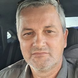 ������, 41 ���, �����������