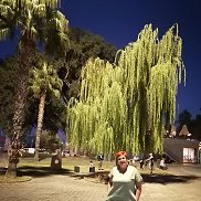 ��������, 51 ���, ���������