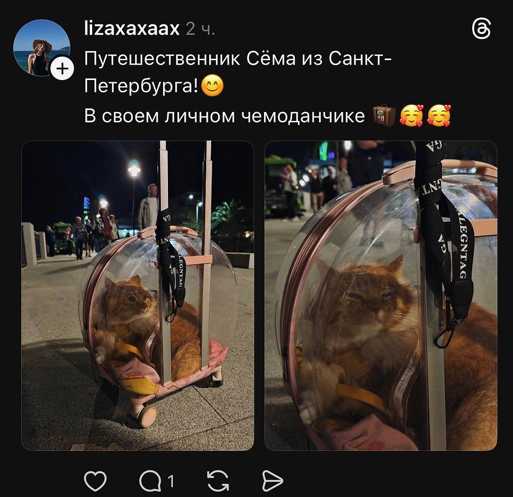 ����� Ѹ�� ������� �� ���� � ���� ������ ����������� � ��������� �������������.
