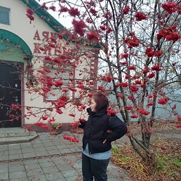 �����, 38 ���, ������