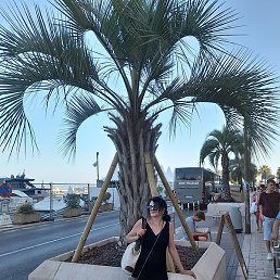 Jagoda Frau, ������, 55 ���