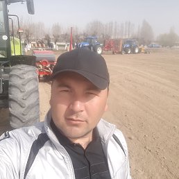 , 32, 