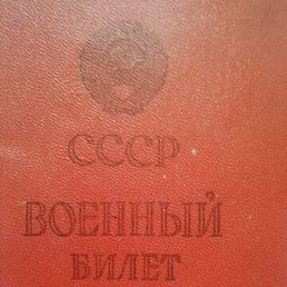 ��� 100, ������, 49 ���