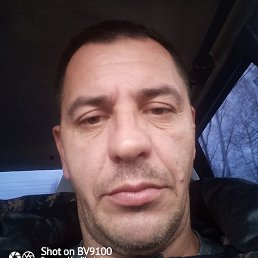 �������, ������, 43 ����