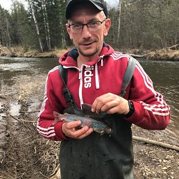 ���� ������, ��������, 43 ���� - ��������� 14 ������ 2026