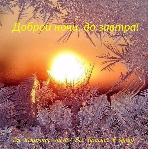 ����������� � ���������, �������� �� ������ ����. - 2 ������� 2026 � 15:22 - 3