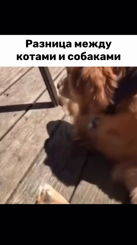 ������� ����� ������ � ��������!) - 2