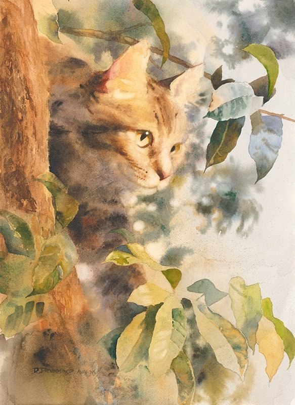 Акварель. David Drummond.