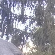 �������, 50 ���, �����-���������