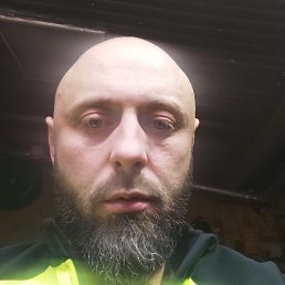 ����, �������, 44 ����