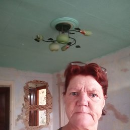 , 56, 