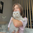 ���� ����, ������-��-����, 20 ��� - ��������� 4 ������ 2026 � ������ ���� ����������