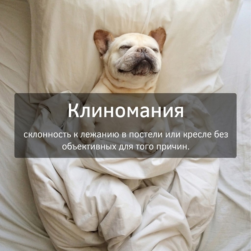 Пополняем словарный запас - 3