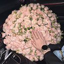 ���� �����, ������, 44 ���� - ��������� 17 ������ 2023