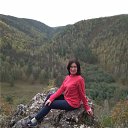 ���� ����, ���, 55 ��� - ��������� 7 ������ 2026 � ������ ���� ����������