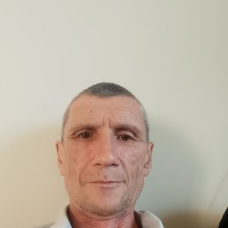 , 51, --