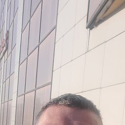 ����, ������, 44 ����