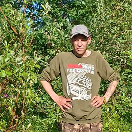 ����, 41 ���, �����-���������