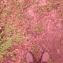 ���� ������, ������, 55 ��� - ��������� 1 ������� 2025