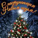 ���� ����, ��������� - ��������� 10 ������� 2025 � ������ ������ ��������