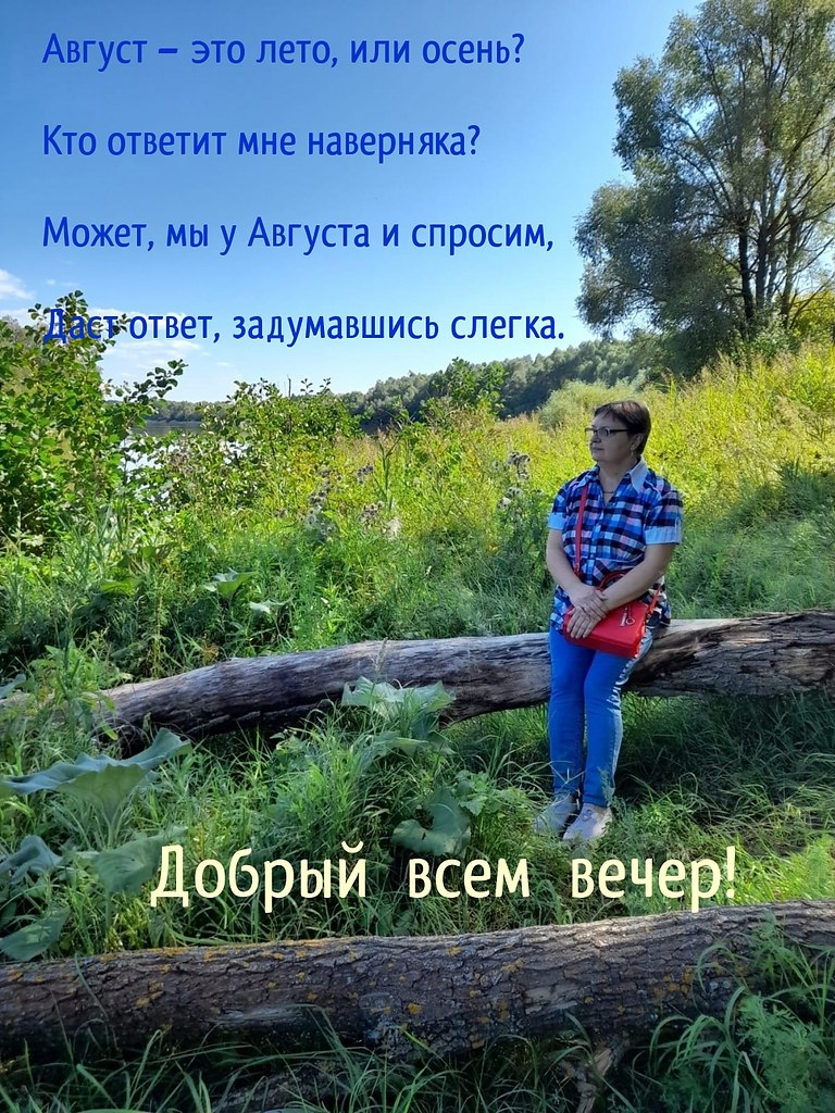    ,  ?    ? ,     ,  , ...
